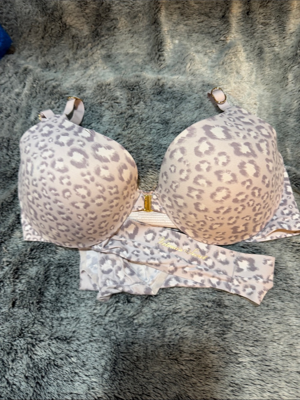 Victoria’s Secret Leopard Print Light Gray Push-Up Bra and Bikini Set